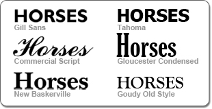 horsebox lettering